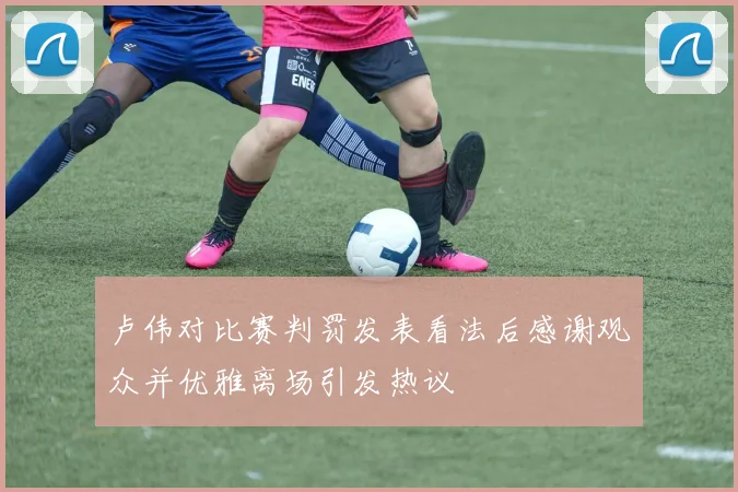卢伟对比赛判罚发表看法后感谢观众并优雅离场引发热议